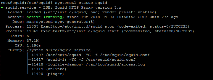 active running squid